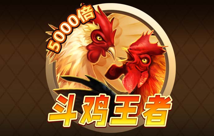 716666:NET-WWW:716666:NET